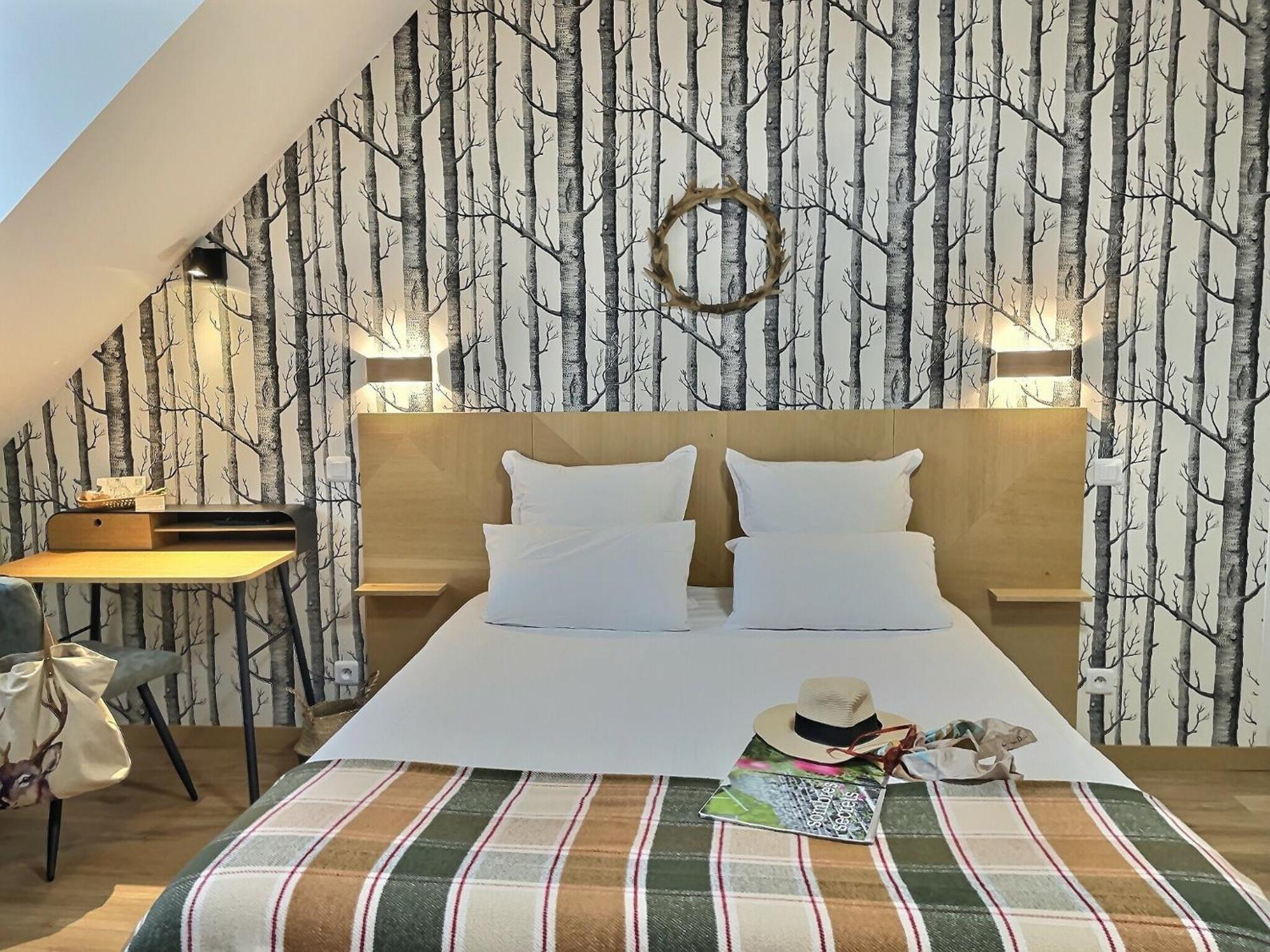 Logis Hotel Du Cygne Брасьо Екстериор снимка